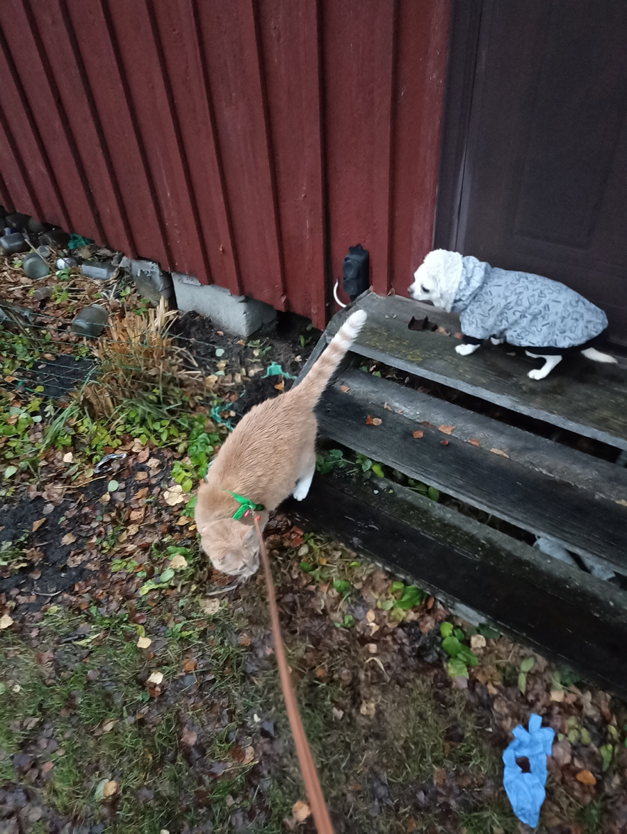 Где то тут я свои феромоны в прошлом году оставил...