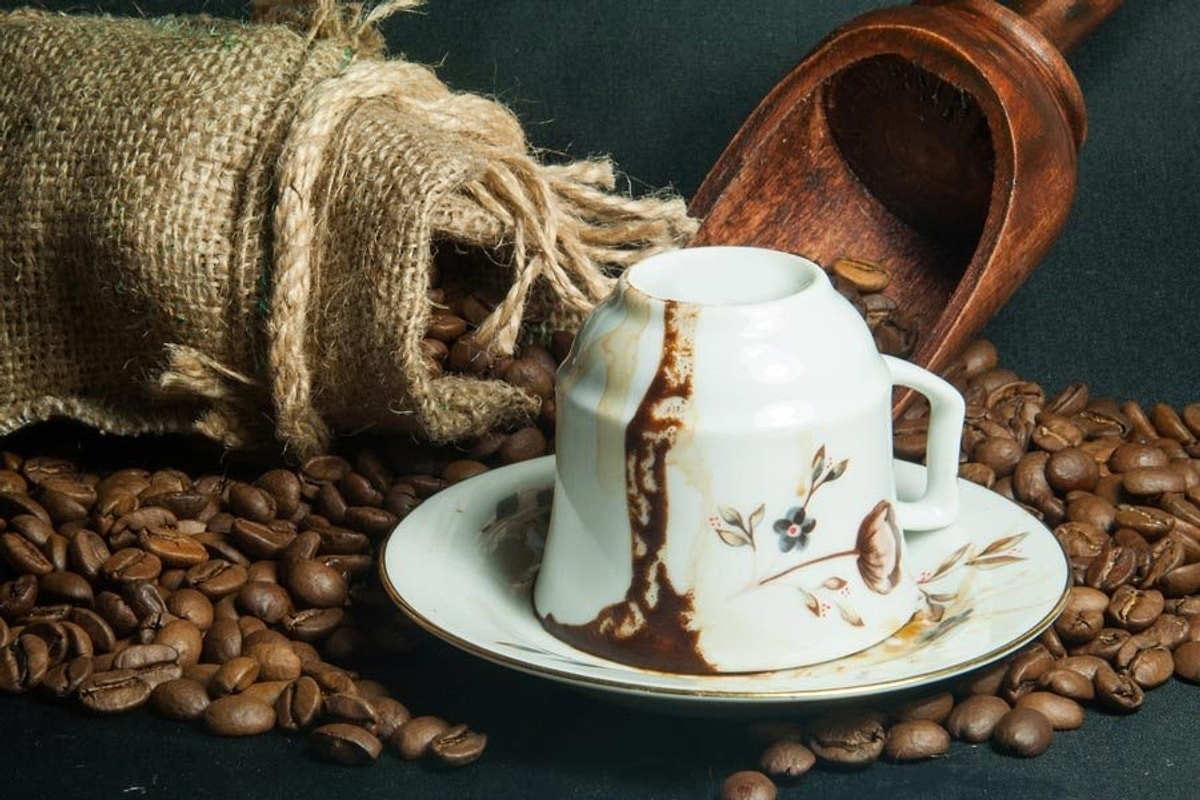 фото из интернета