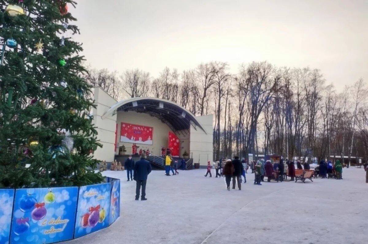    В городах Тульской области установлены первые новогодние ёлки