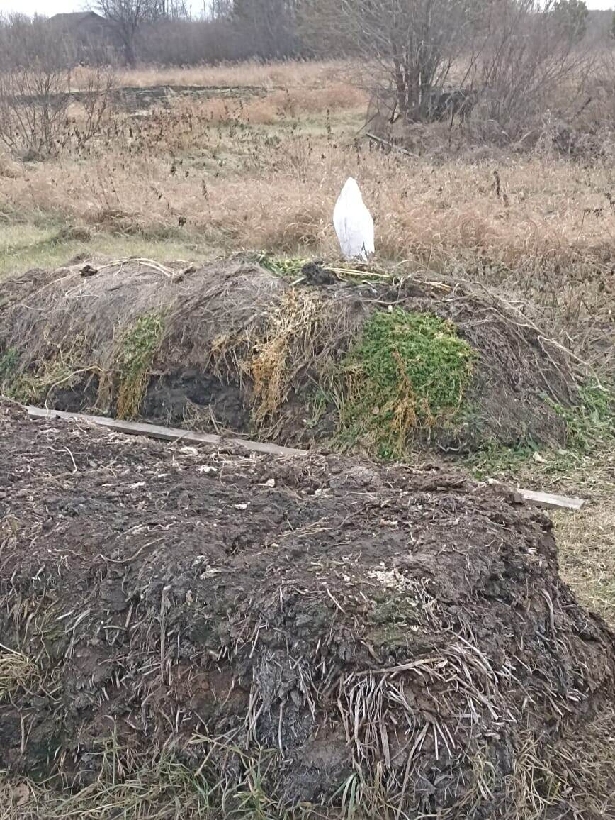 Фото автора. 