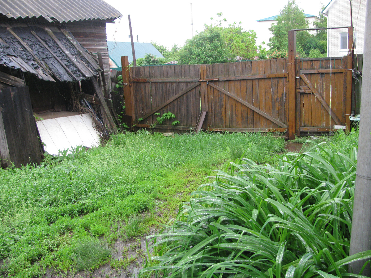 Двор опустевшего дома.