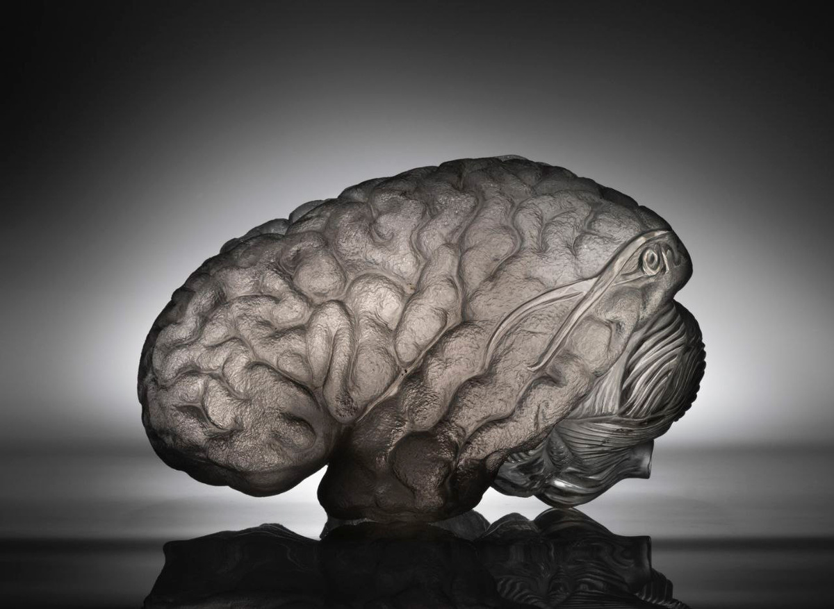    Ярослава Ксенофонтов, «Сияние кристального разума»