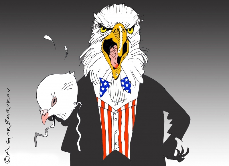  США. Иллюстрация: Александр Горбаруков