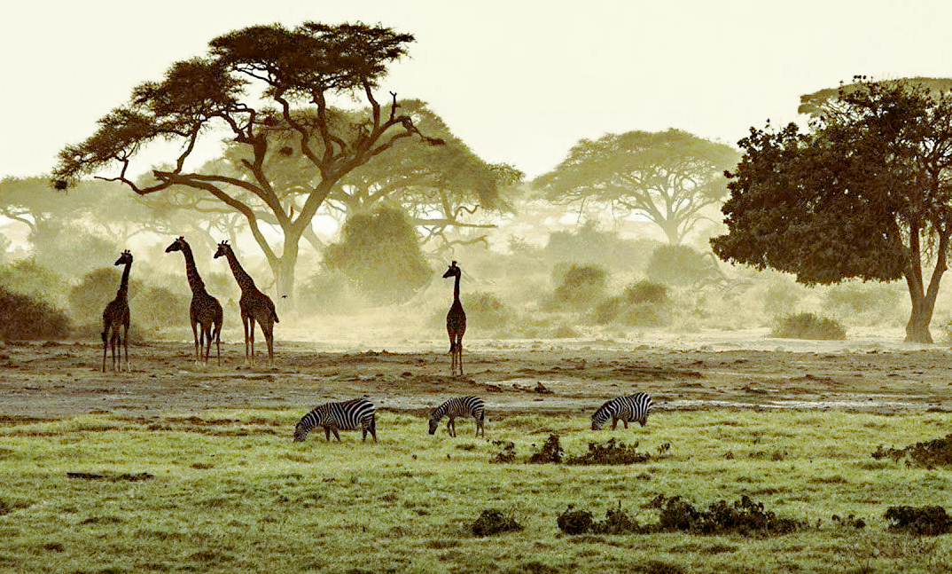 Так выглядела пустыня 10 000 лет назад. Фото: turbinatravels.com