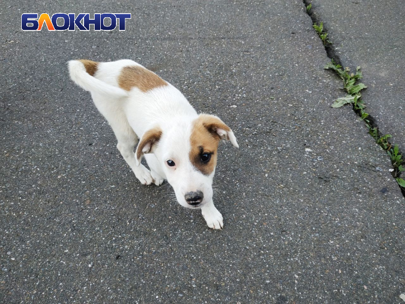 Фото для иллюстрации