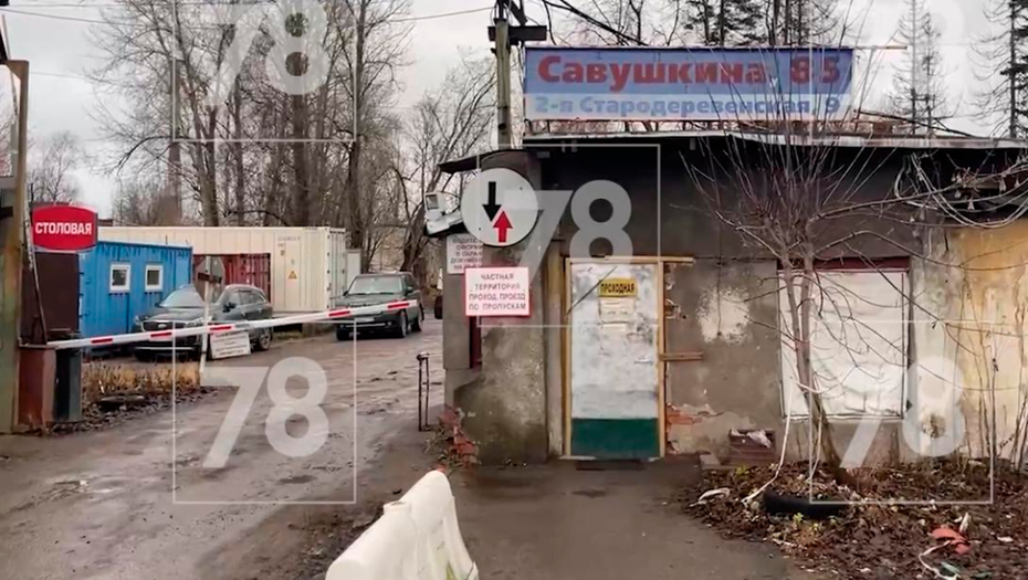    Автор фото: 78.ru