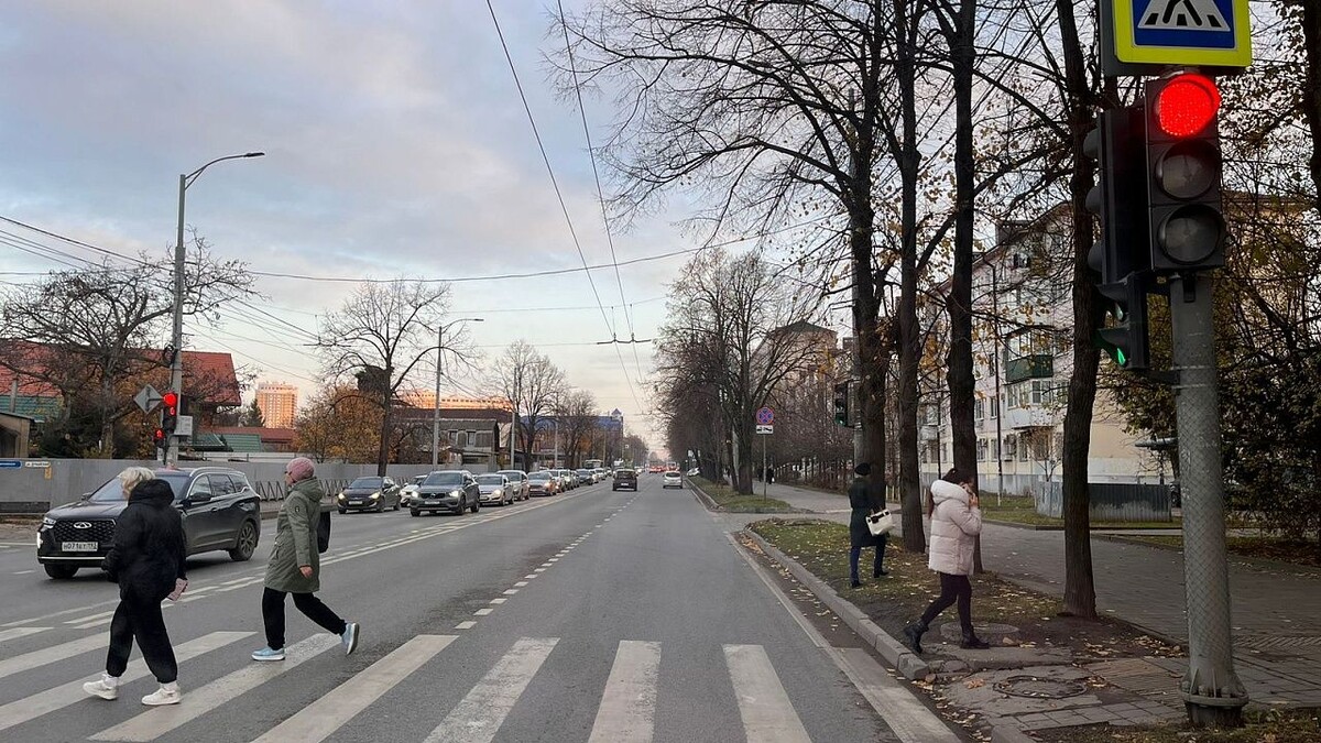    Фото: телеканал «Краснодар»