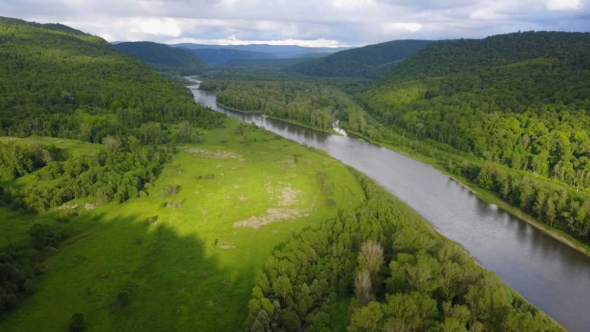 Вид на поляну (фото из сети Интернет, ресурс drive2.ru)