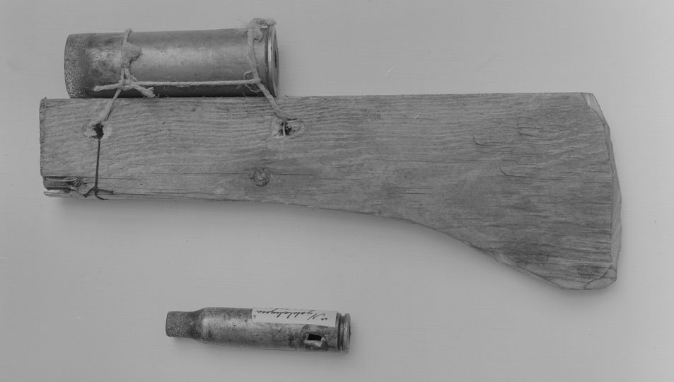 "Что ты такое?!" (Фото - общественное достояние)