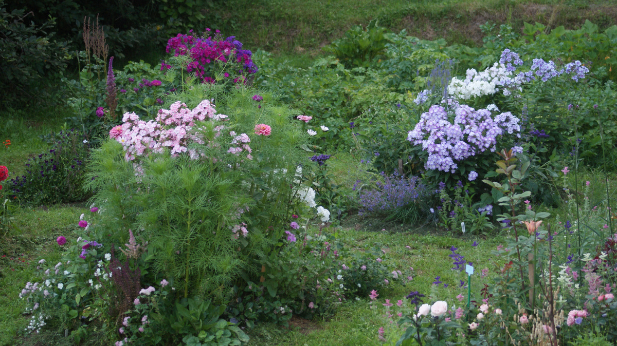 2. «Комната цветных пелерин».2 фото, листайте