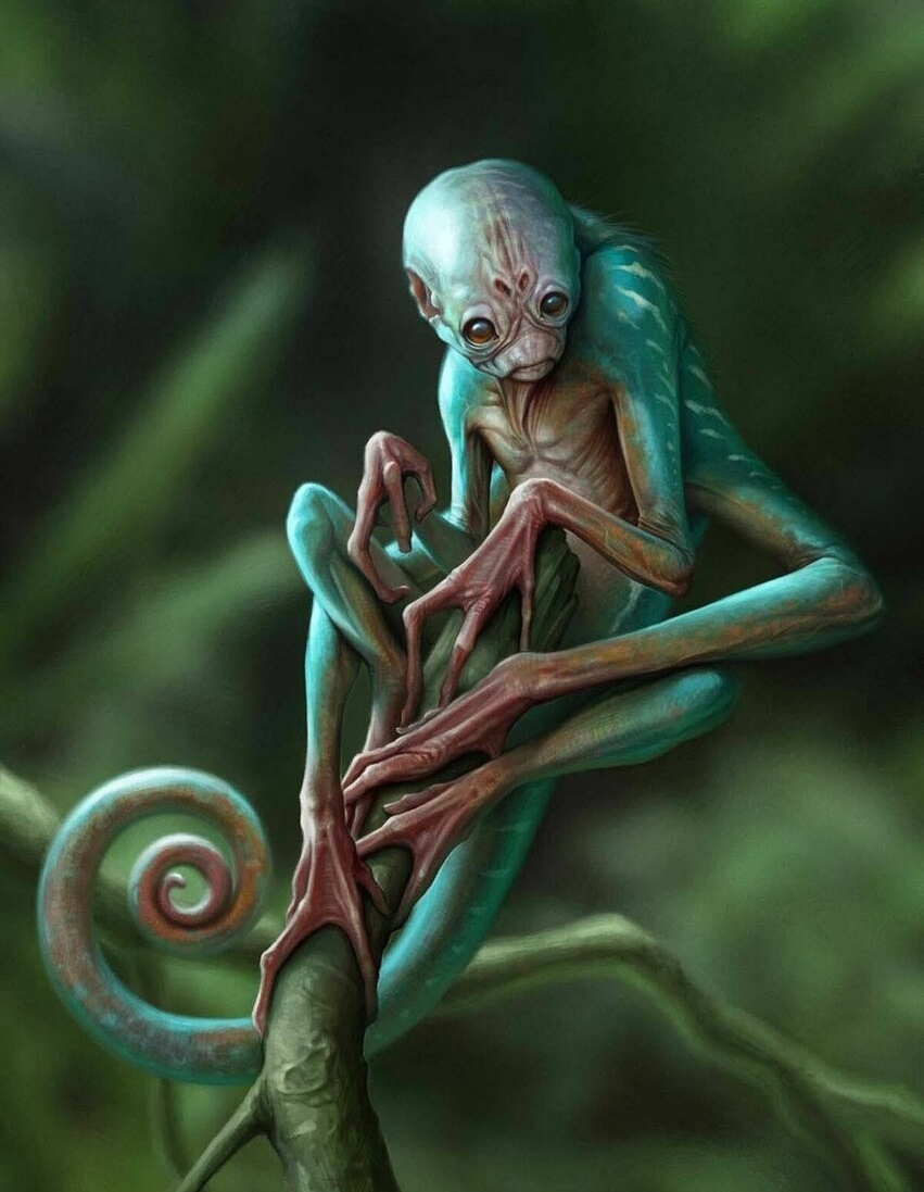 Это были очень странные создания. (Фото: gagaru.club).