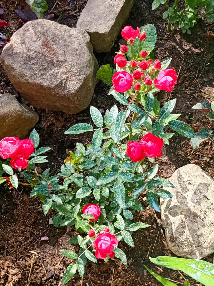 фото Татьяны