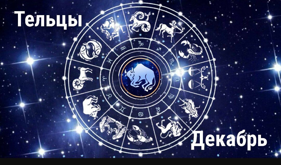 Тельцы декабрь 2024 года