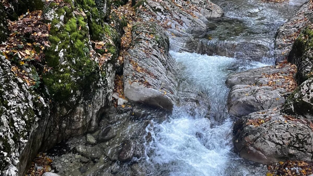     Источник: kubanpress.ru