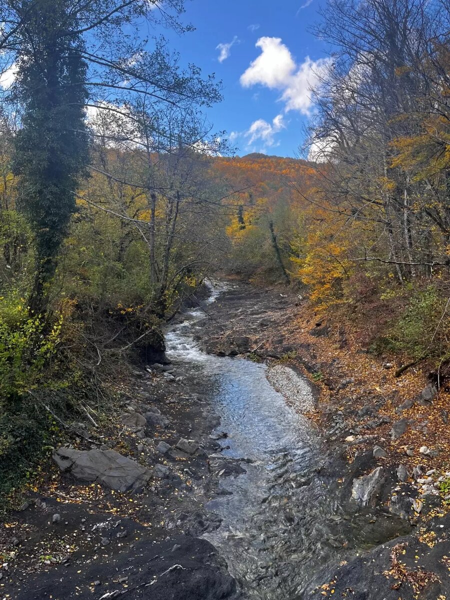     Источник: kubanpress.ru