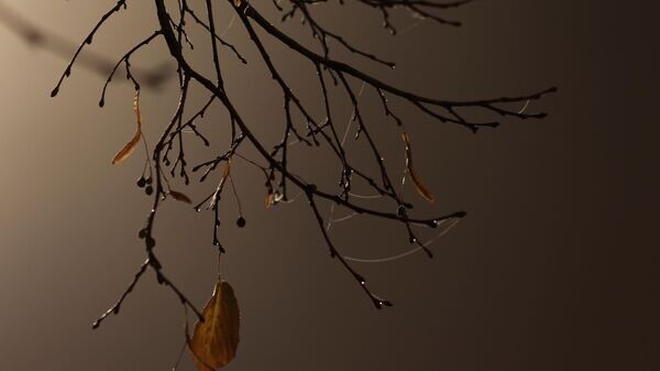    © Sputnik / Мария Девахина