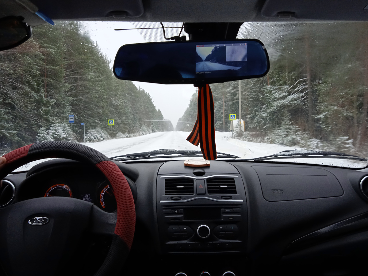 Красота вологодских лесов. Фото автора, 16 ноября 2024г.