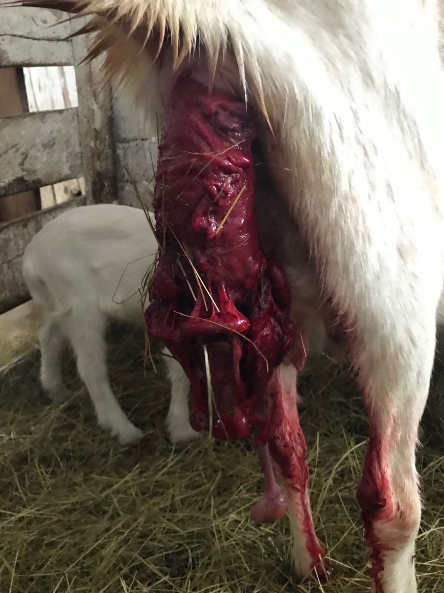 Фото автора из личного архива 