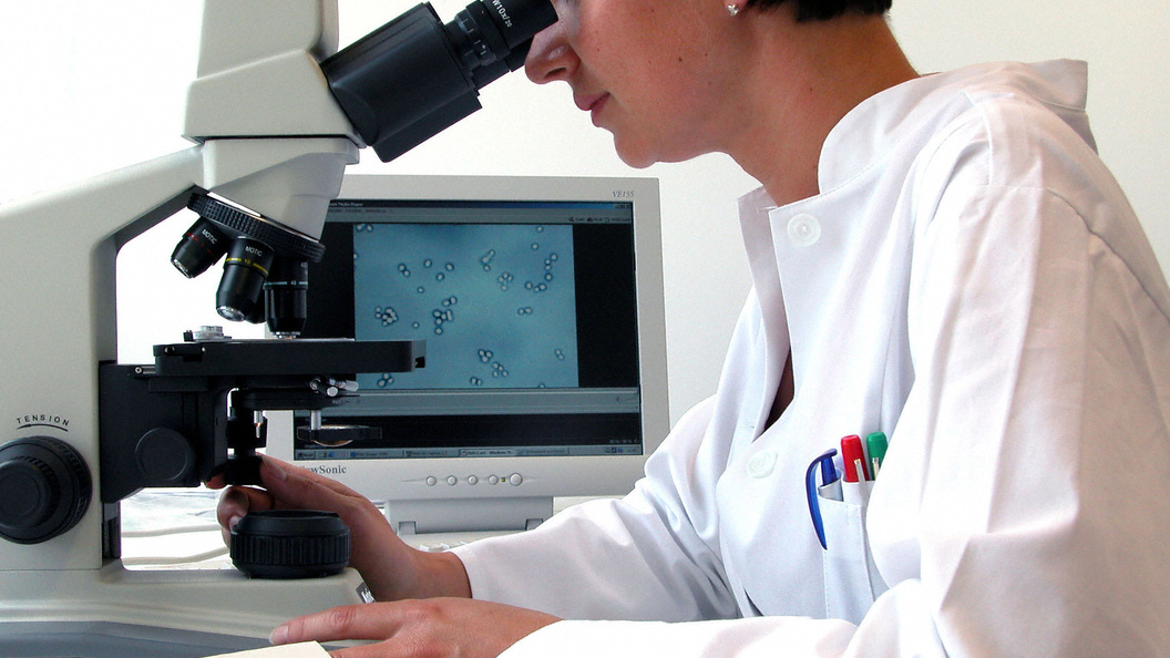    CHROMORANGE / Bilderbox