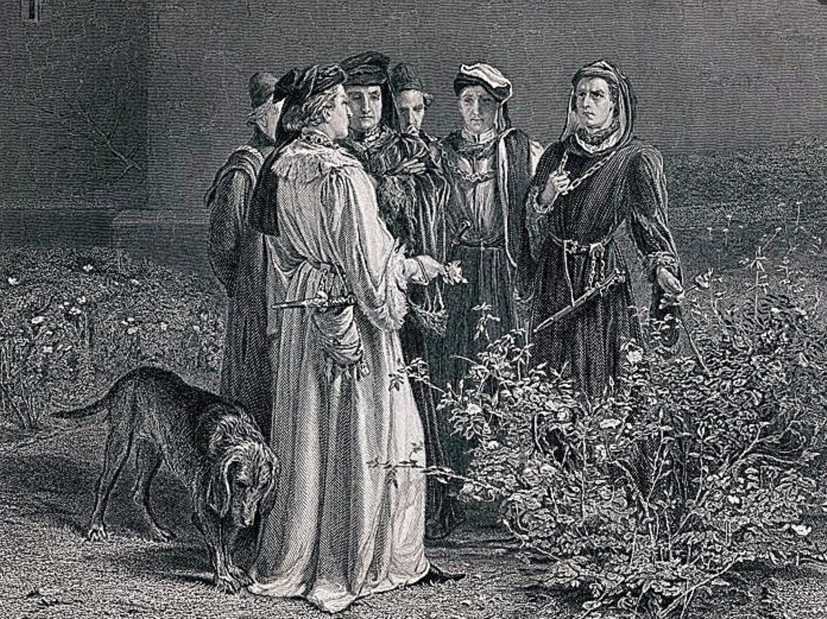 Онлайн-психологи бурно обсуждают на вою аудиторию, кто из них профи, а кто — нет. 