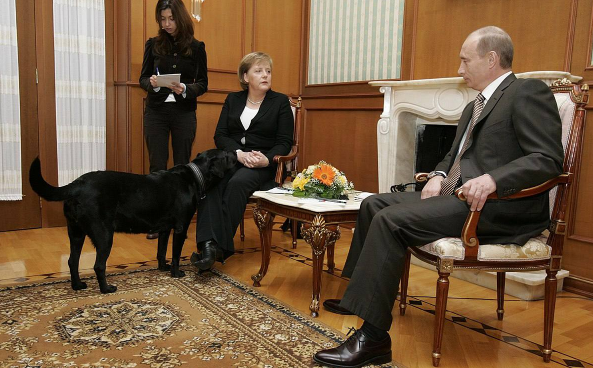 Из открытых источников. Как выяснилось, в этот момент госпоже Меркель очень страшно. 