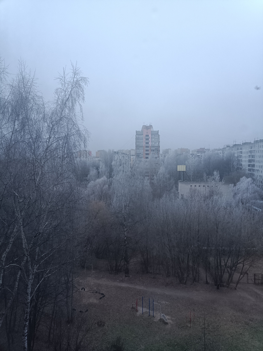 Утро 28.11 2024г.