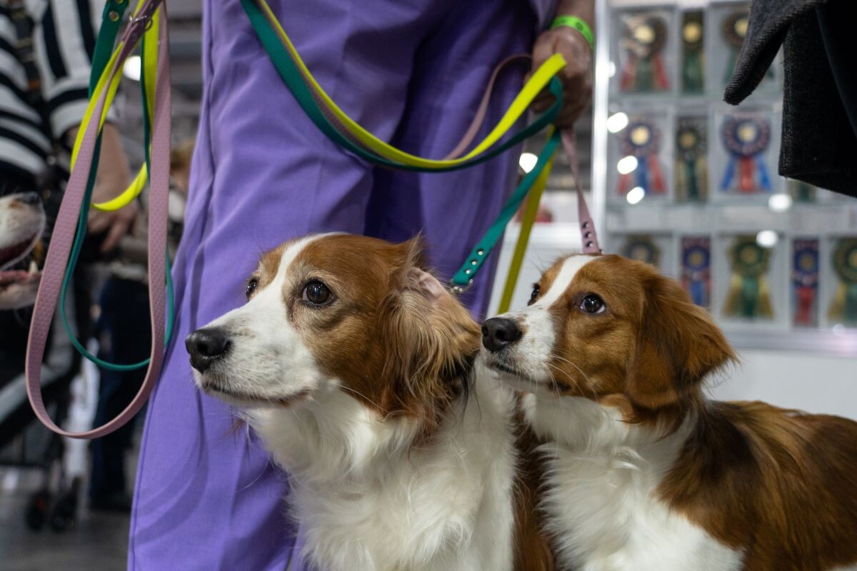 Фото: Александр Плонский / «ВиЖ»