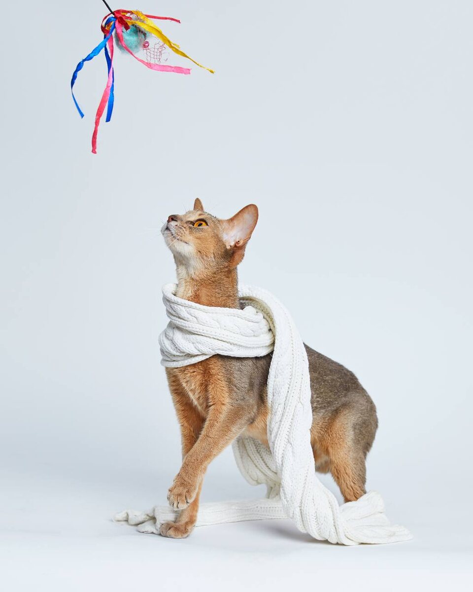 Фото организаторов выставки