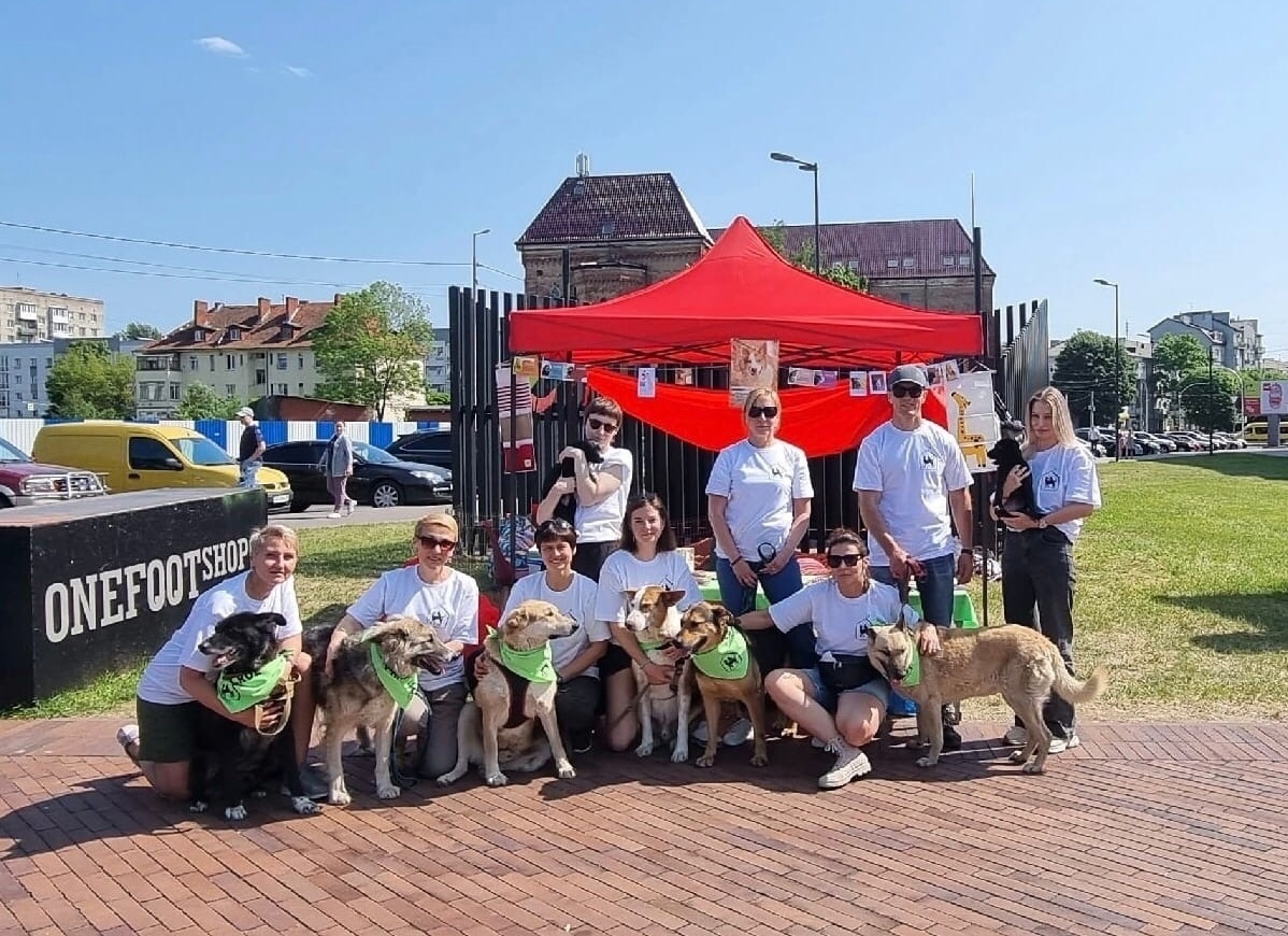 Наша команда волонтёров на фестивале первого канала «Выбери друга» возле торгового комплекса Z-Форт