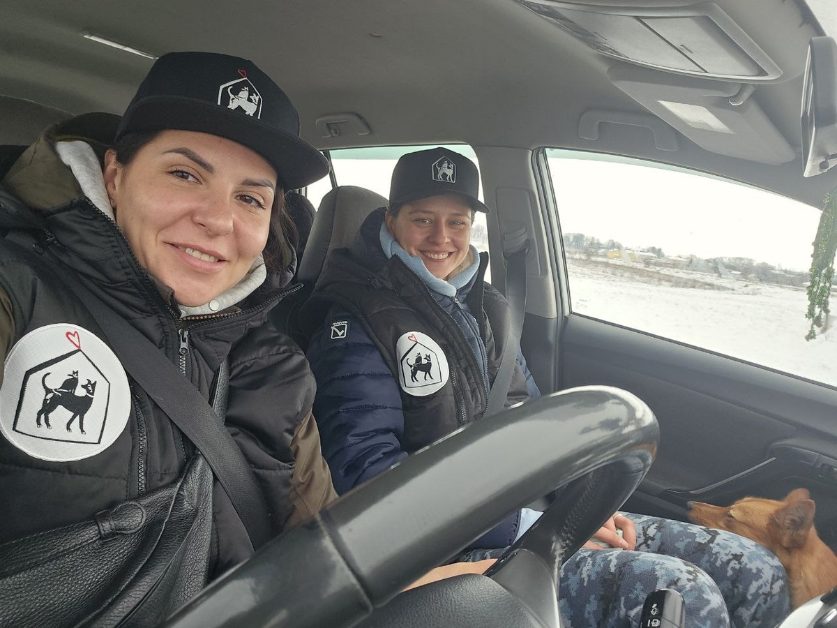 Постоянно в движении