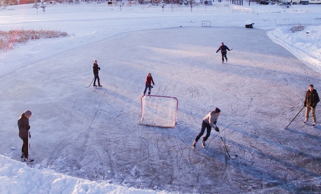   Фото: по лицензии PxHere