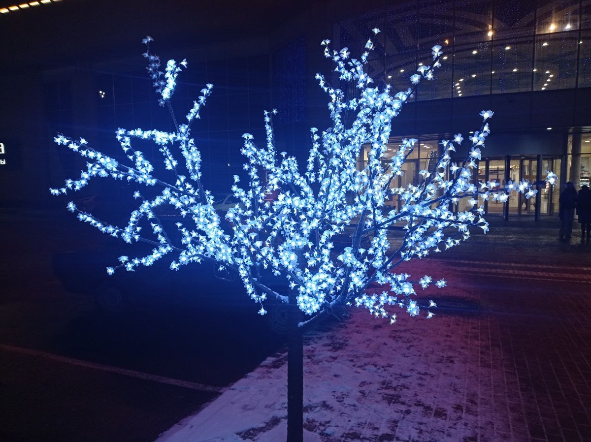 Фотография автора