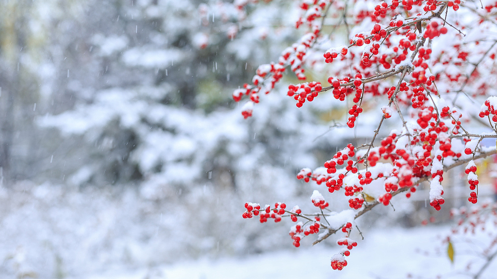 1 декабря - день святых мучеников Платона и Романа