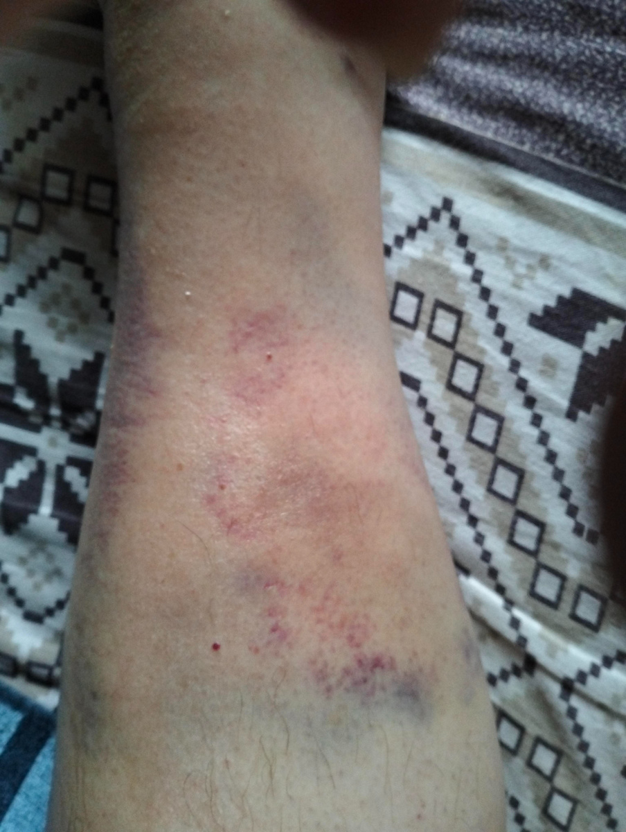 Фото автора.