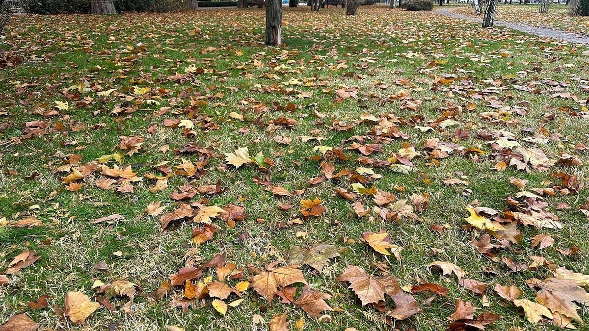    Фото: телеканал «Краснодар»