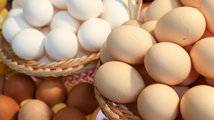    Фото: www.globallookpress.com