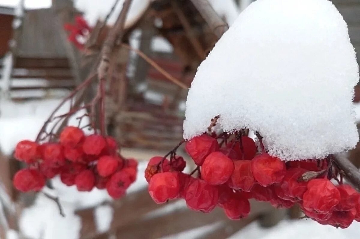    Всё ещё снег: какая погода будет в Хабаровском крае 30 ноября