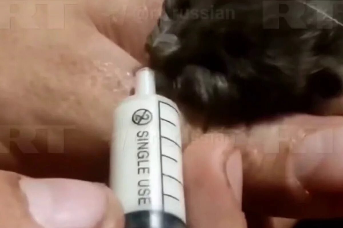    Российские военные покормили слепых котят прямо в блиндаже