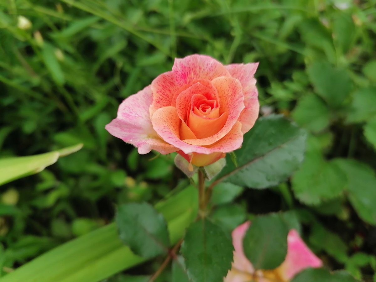 Фотография из личного архива автора 