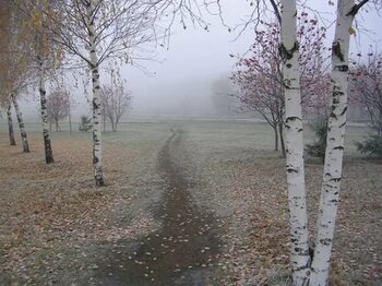 Яндекс Открытый источник 