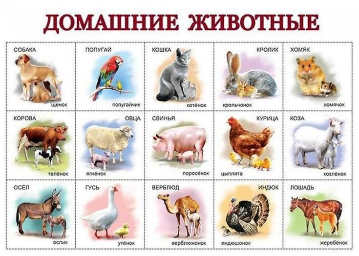 Яндекс Открытый источник 