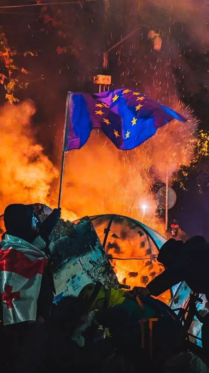 По словам президента Грузии Саломе Зурабишвили, в стране происходит «конституционный переворот». Фото: Телеграм-канал NotoRussianLawinGeorgia