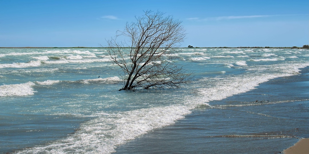 Повторит ли озеро Балхаш судьбу Аральского моря