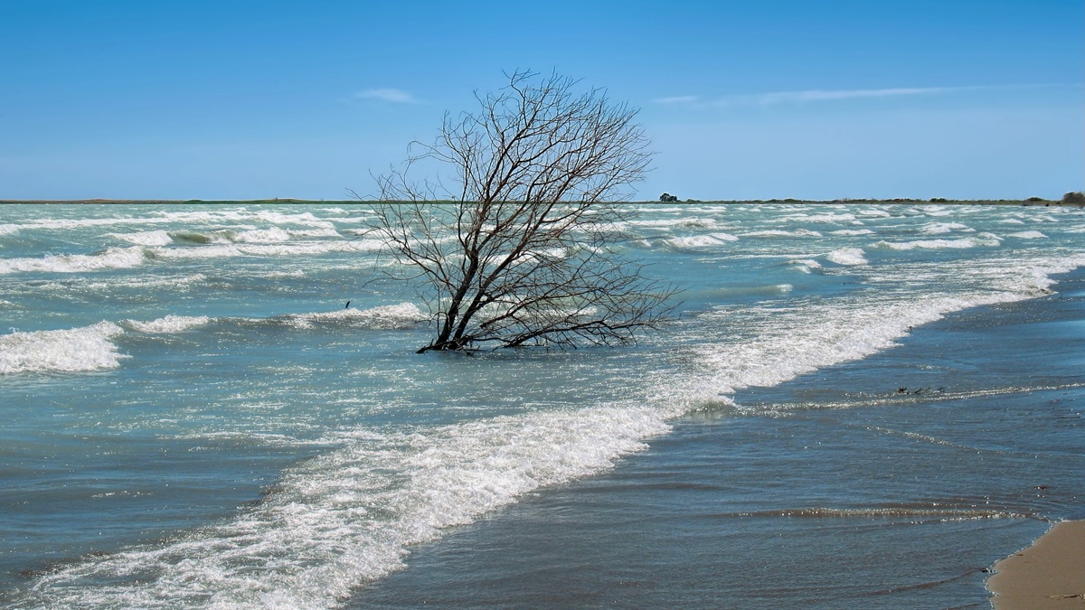 Озеро Балхаш
