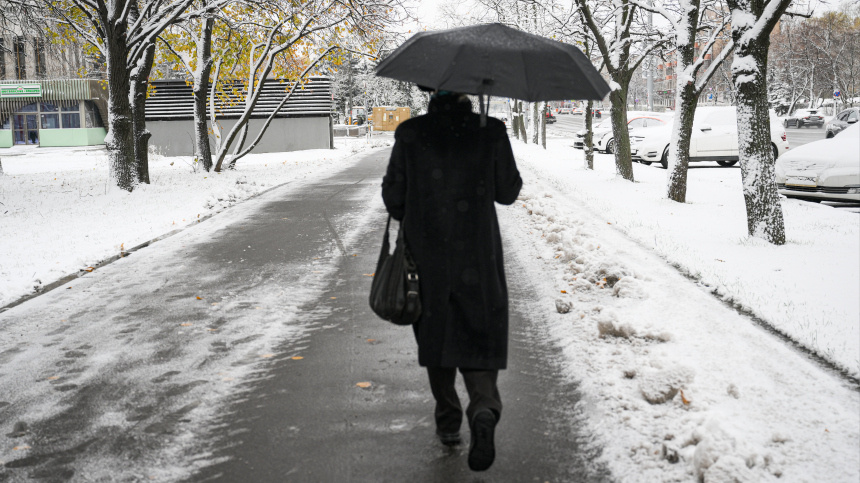    Фото: © РИА Новости/Алексей Майшев