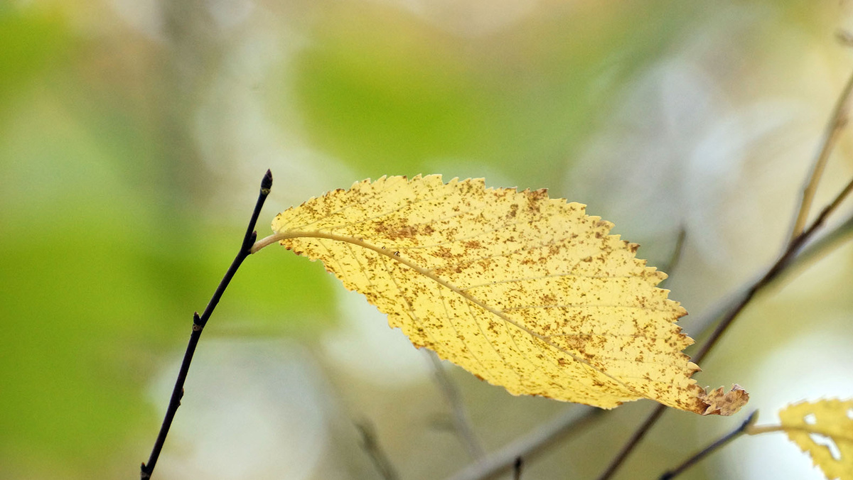    Фото: Сергей Егоров