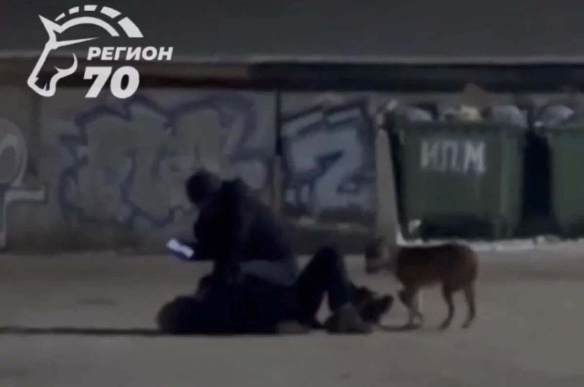    Житель Томска напал на мужчину, собака которого гуляла без намордника