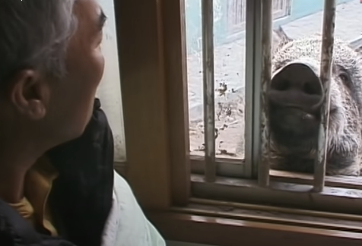 Есть чего перекусить?