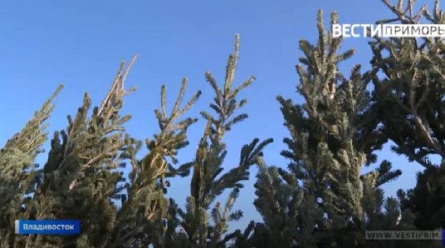    Источник фото: // тг-канал Марк Чернослив