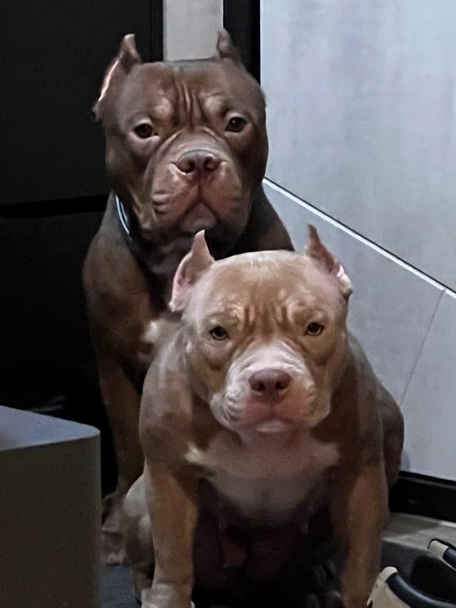 Можно листать------>